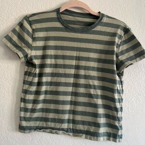Everlane Olive and Cream Striped Tee